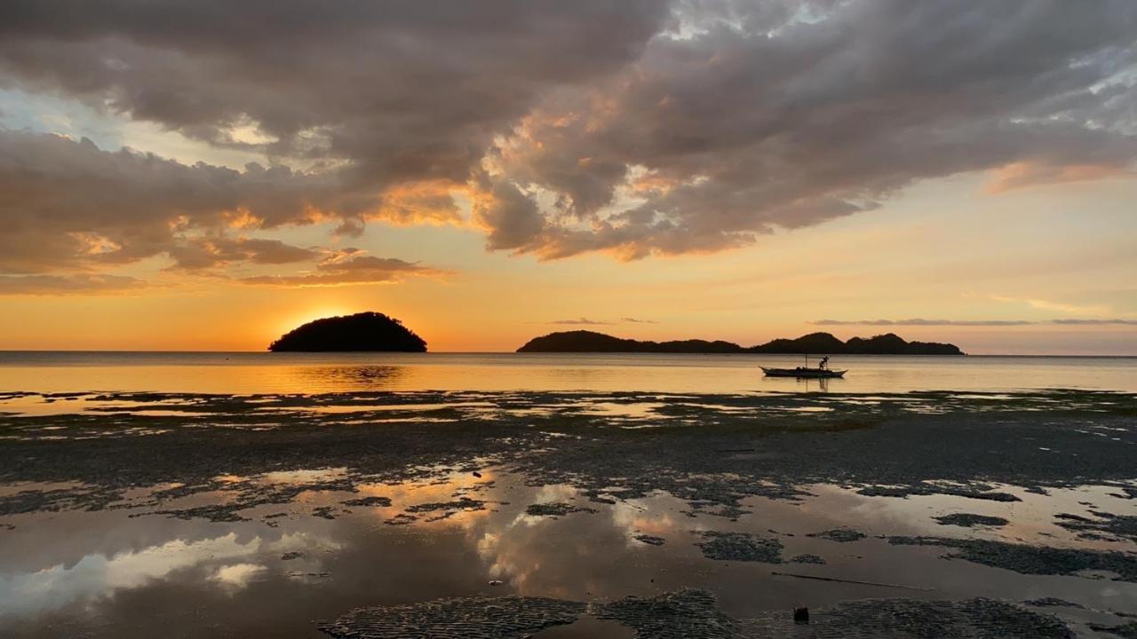 Amila Dive Beach Resort Sipalay Buitenkant foto